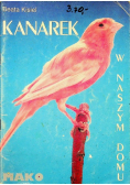 Kanarek w naszym domu