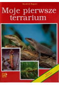 Moje pierwsze terrarium