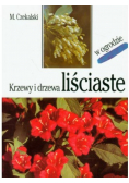 Krzewy i drzewa liściaste w ogrodzie