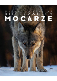Album Bieszczadzcy mocarze - Wilk