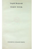 Czarny potok