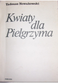 Kwiaty dla Pielgrzyma