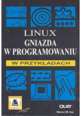 Linux gniazda w programowaniu