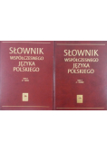 Słownik współczesnego języka polskiego tom 1 i 2