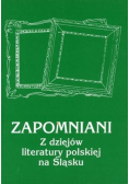 Zapomniani Z Dziejów Literatury Polskiej