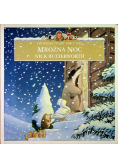 Mroźna noc