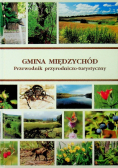 Gmina Międzychód