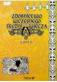 Zdobnictwo wczesnego średniowiecza tom 2