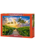 Puzzle 3000 Colorful Sunrise in Miami, USA