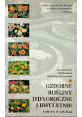 Ozdobne rośliny jednoroczne i dwuletnie Uprawa w gruncie