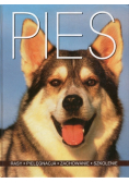 Pies rasy pielęgnacja zachowanie szkolenie