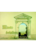 Miasto światłem malowane