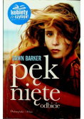Pęknięte odbicie