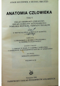 Anatomia człowieka tom V