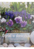 Ogród w doniczkach