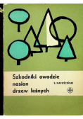 Szkodniki owadzie nasion drzew leśnych