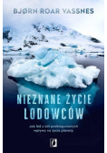 Nieznane życie lodowców