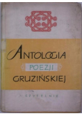 Antologia poezji gruzińskiej