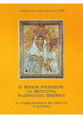 O Boskim pocieszeniu za przyczyną Najświętszej Dziewicy
