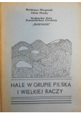 Hale w grupie Pilska i Wielkiej Raczy