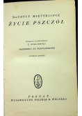 Życie pszczół ok 1926 r.