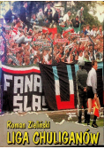 Liga chuliganów