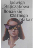 Boicie się czarnego ptaka ?