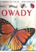 W królestwie zwierząt - Owady