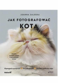 Jak fotografować kota