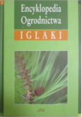 Encyklopedia Ogrodnictwa Iglaki
