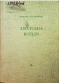 Anatomia roślin