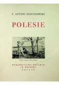 Cuda Polski Polesie 1934 r.