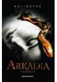 Arkadia płonie