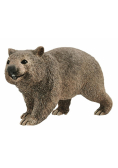 Wombat