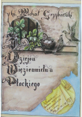 Z dziejów więziennictwa Płockiego