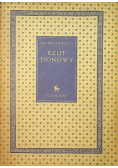 Rzut pionowy