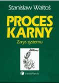 Proces karny