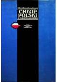 Chłop Polski w Europie i Ameryce tom 2