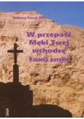 W przepaść Męki Twej wchodzę. Kazania pasyjne