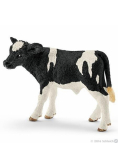 Cielę rasy Holstein