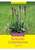 Flora Polski rośliny naczyniowe