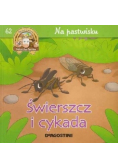Na Pastwisku Świerszcz i Cykada