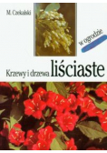 Krzewy i drzewa liściaste w ogrodzie