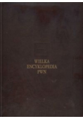 Wielka Encyklopedia PWN tom 3
