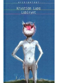 Labirynt
