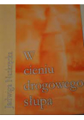 W cieniu drogowego słupa
