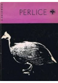 Perlice