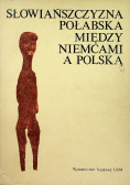 Słowiańszczyzna połabska między Niemcami a Polską