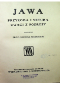 Jawa przyroda i sztuka uwagi z podróży 1913 r