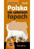 Polska na czterech łapach